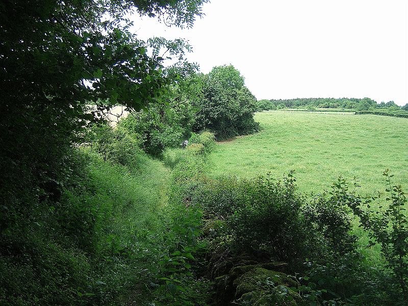 2010-05- (94).JPG